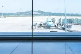 窗口期突围战来临，纽约尼克斯围绕亚冠强势反弹，信心回归，轮换策略成焦点