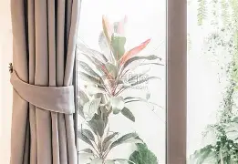 窗口期突围战来临，纽约尼克斯围绕亚冠强势反弹，信心回归，轮换策略成焦点